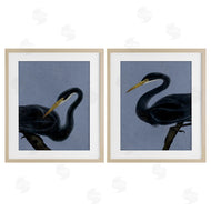 Grace Popp | Black Heron Birds
