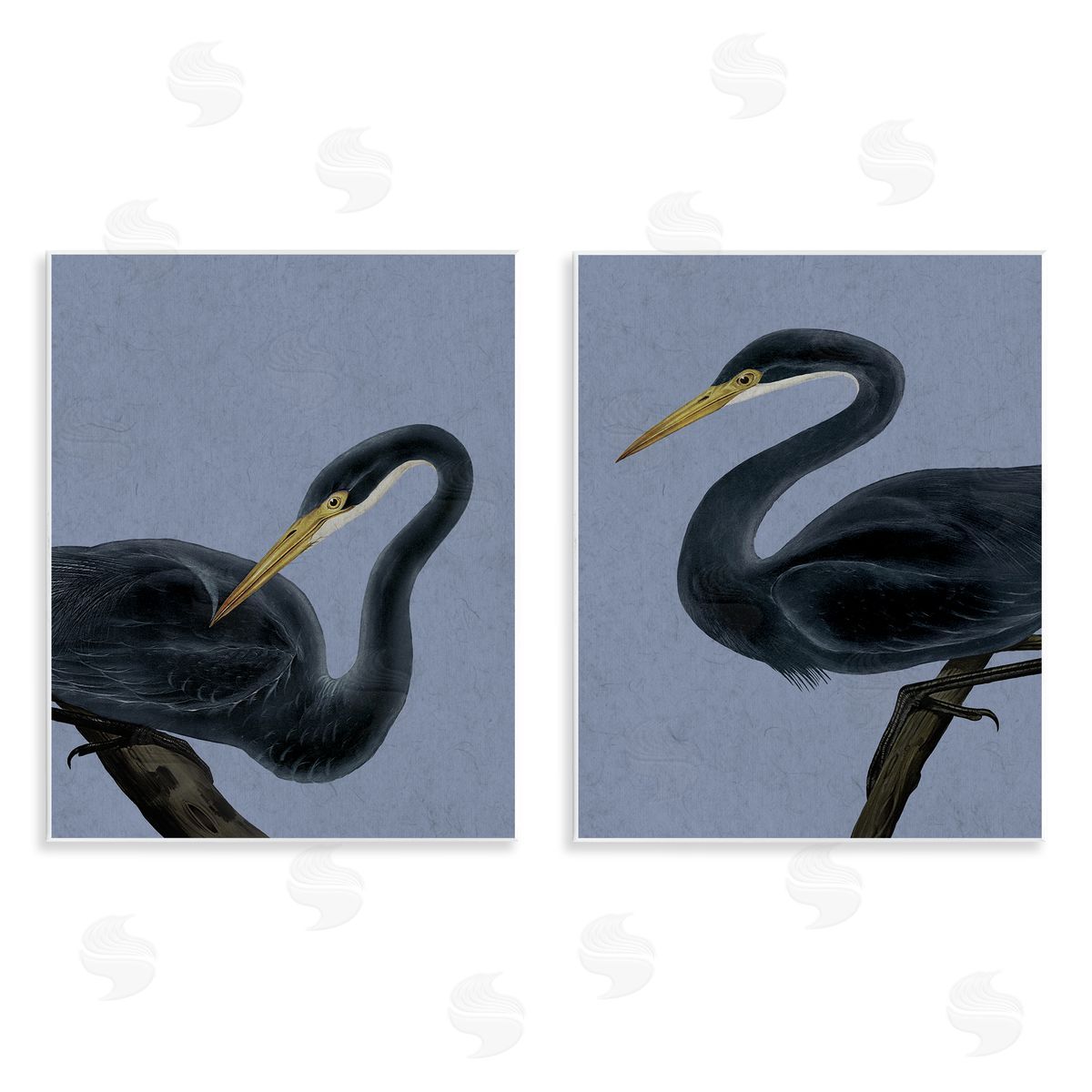Grace Popp Black Heron Birds Canvas Wall Art Print