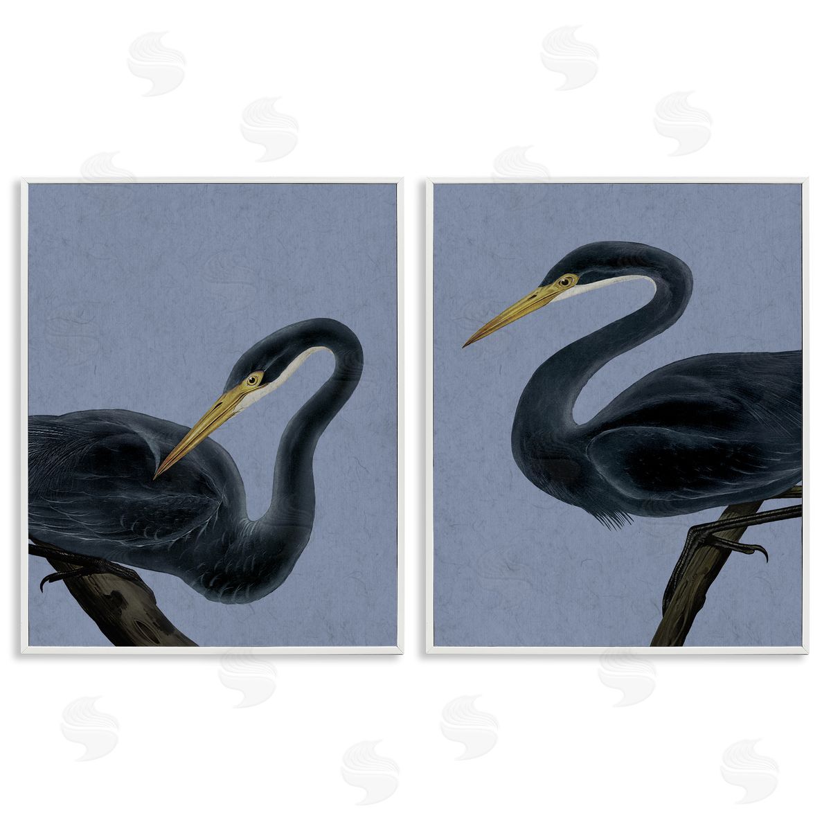 Grace Popp Black Heron Birds Canvas Wall Art Print