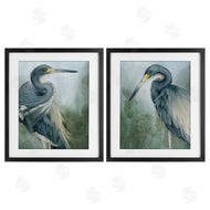Grace Popp | Bayou King Herons