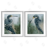 Grace Popp | Bayou King Herons
