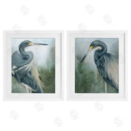Grace Popp | Bayou King Herons