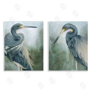 Grace Popp | Bayou King Herons