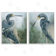 Grace Popp | Bayou King Herons