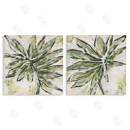 June Erica Vess | Organic Palm Palette