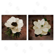 Jennifer Stith | White Flowers on Brown