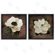 Jennifer Stith | White Flowers on Brown