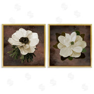 Jennifer Stith | White Flowers on Brown
