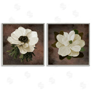 Jennifer Stith | White Flowers on Brown