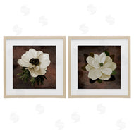Jennifer Stith | White Flowers on Brown
