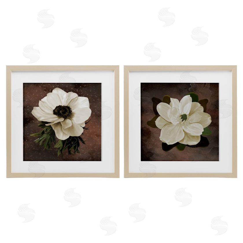 Jennifer Stith | White Flowers on Brown
