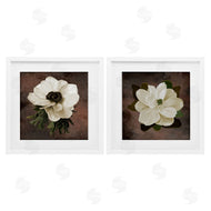 Jennifer Stith | White Flowers on Brown