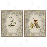Radhika Modi | Vintage Birds & Toile