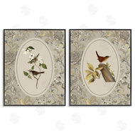 Radhika Modi | Vintage Birds & Toile