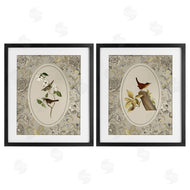Radhika Modi | Vintage Birds & Toile