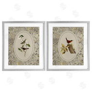 Radhika Modi | Vintage Birds & Toile
