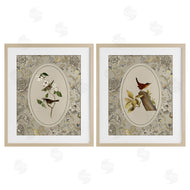 Radhika Modi | Vintage Birds & Toile