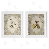 Radhika Modi | Vintage Birds & Toile