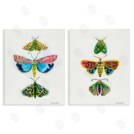 Farida Zaman | Bright Moths Symmetry