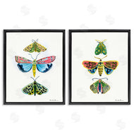 Farida Zaman | Bright Moths Symmetry