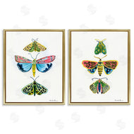 Farida Zaman | Bright Moths Symmetry