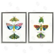 Farida Zaman | Bright Moths Symmetry