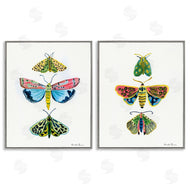 Farida Zaman | Bright Moths Symmetry