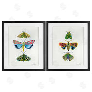 Farida Zaman | Bright Moths Symmetry