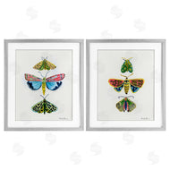 Farida Zaman | Bright Moths Symmetry