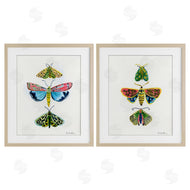 Farida Zaman | Bright Moths Symmetry