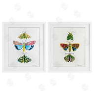 Farida Zaman | Bright Moths Symmetry