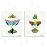 Farida Zaman | Bright Moths Symmetry