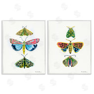 Farida Zaman | Bright Moths Symmetry