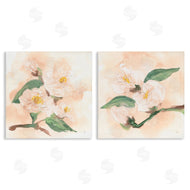 Chris Paschke | Faded Dimensional Magnolias