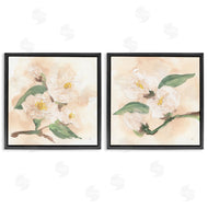 Chris Paschke | Faded Dimensional Magnolias