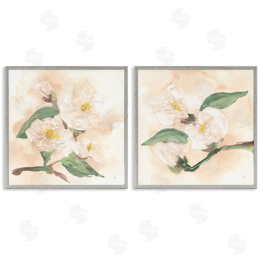 Chris Paschke | Faded Dimensional Magnolias