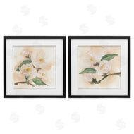 Chris Paschke | Faded Dimensional Magnolias