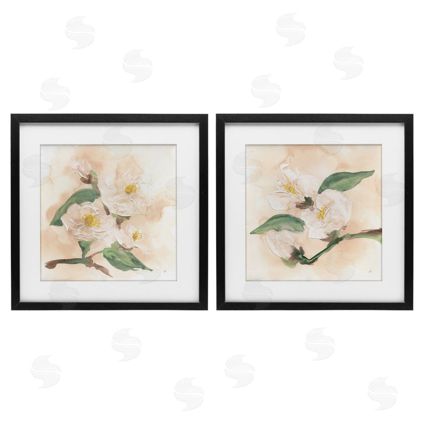 Chris Paschke | Faded Dimensional Magnolias