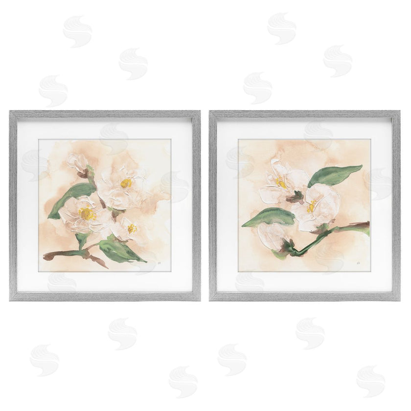Chris Paschke | Faded Dimensional Magnolias