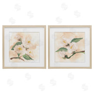 Chris Paschke | Faded Dimensional Magnolias