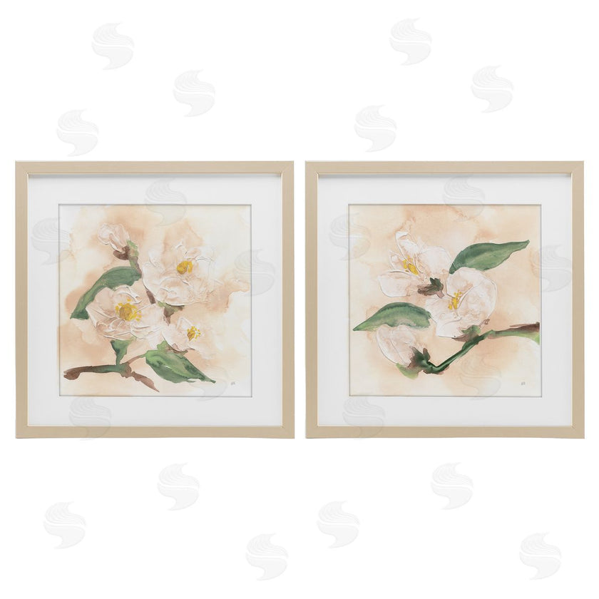 Chris Paschke | Faded Dimensional Magnolias