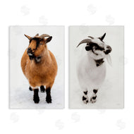 Deborah Revell | Two Little Goats