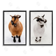 Deborah Revell | Two Little Goats