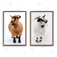 Deborah Revell | Two Little Goats