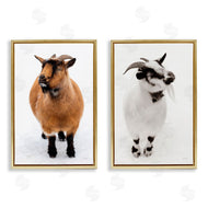Deborah Revell | Two Little Goats
