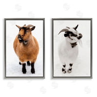 Deborah Revell | Two Little Goats
