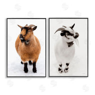 Deborah Revell | Two Little Goats