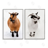 Deborah Revell | Two Little Goats