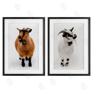 Deborah Revell | Two Little Goats