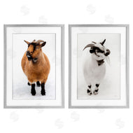 Deborah Revell | Two Little Goats